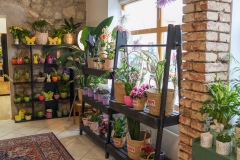 Blumen Horvath Oggau