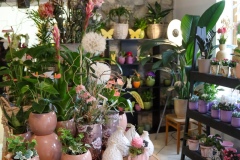 Blumen Horvath Oggau