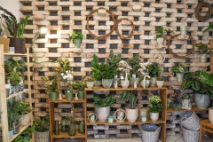 Blumen Horvath Oggau