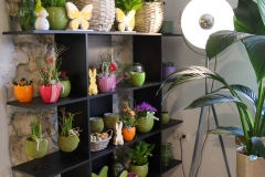 Blumen Horvath Oggau