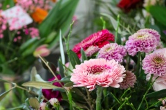 Blumen Horvath Oggau