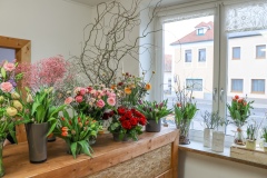 Blumen Horvath Oggau