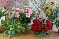 Blumen Horvath Oggau