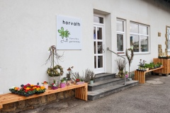 Blumen Horvath Oggau