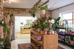 Blumen Horvath Oggau
