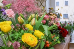 Blumen Horvath Oggau