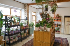 Blumen Horvath Oggau